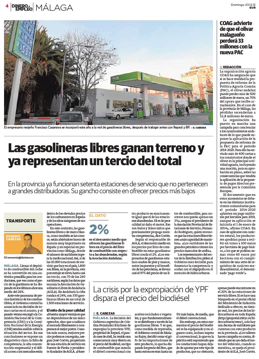 articulo_diario_sur_jpg
